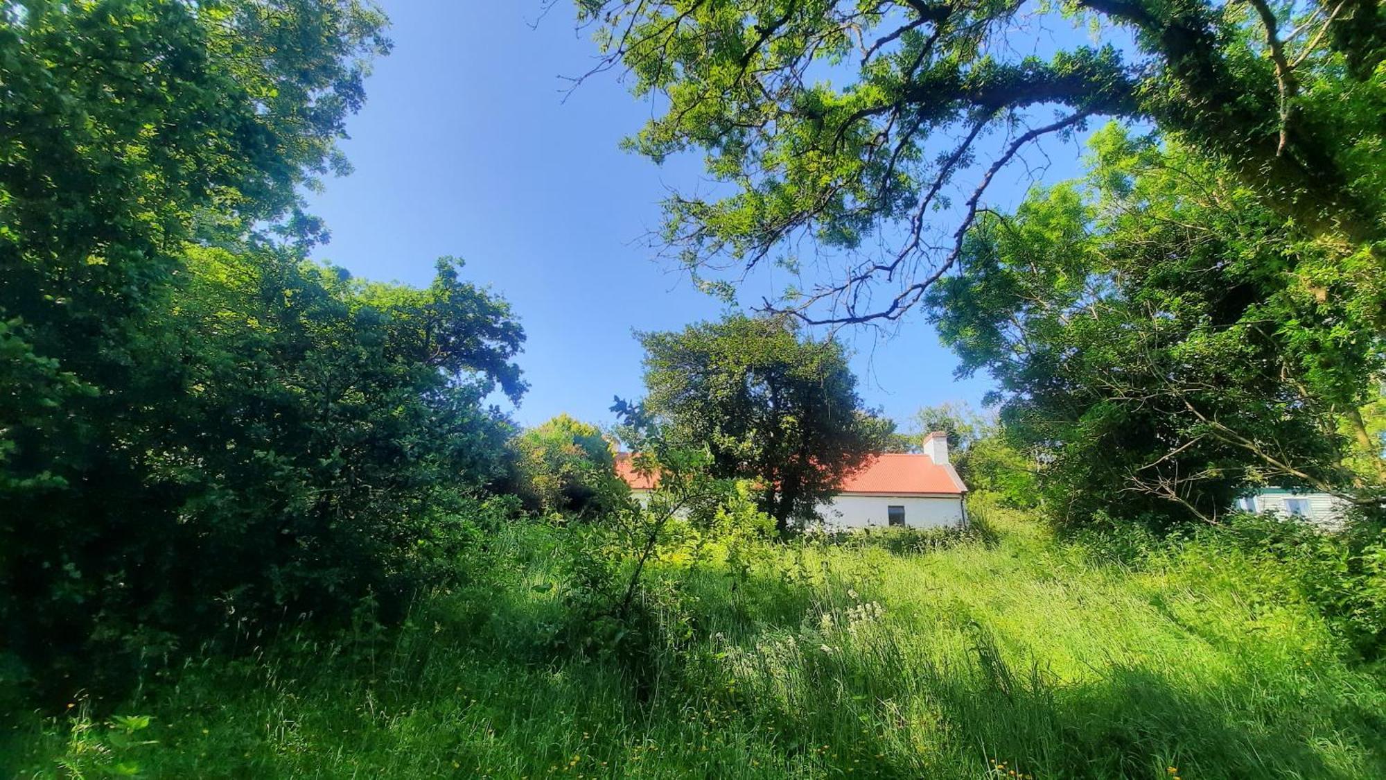 -Going Back In Time- 200 Year Old Farmhouse Creegh Ngoại thất bức ảnh